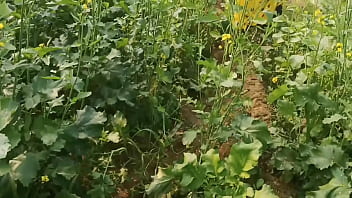 ममता सरसों के खेत में अकेली थी जब उसके पति ने मौका देखकर बाहर खुले में ज़ोरदार चुदाई की, हर आवाज़ साफ सुनाई दे रही थी