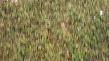 Megan Arab Tersesat, Anal Ganas Sampai Muncrat Dan Kencing Panas