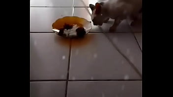 Gadis Seksi Bernama Anita