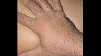 Ayam-ayam Bangun Dan Kalkun Masuk