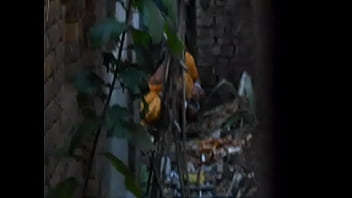 Desi Kencing Dan Buang Air Kecil