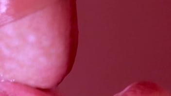 Kisah Mesra Di Ranjang Jepang